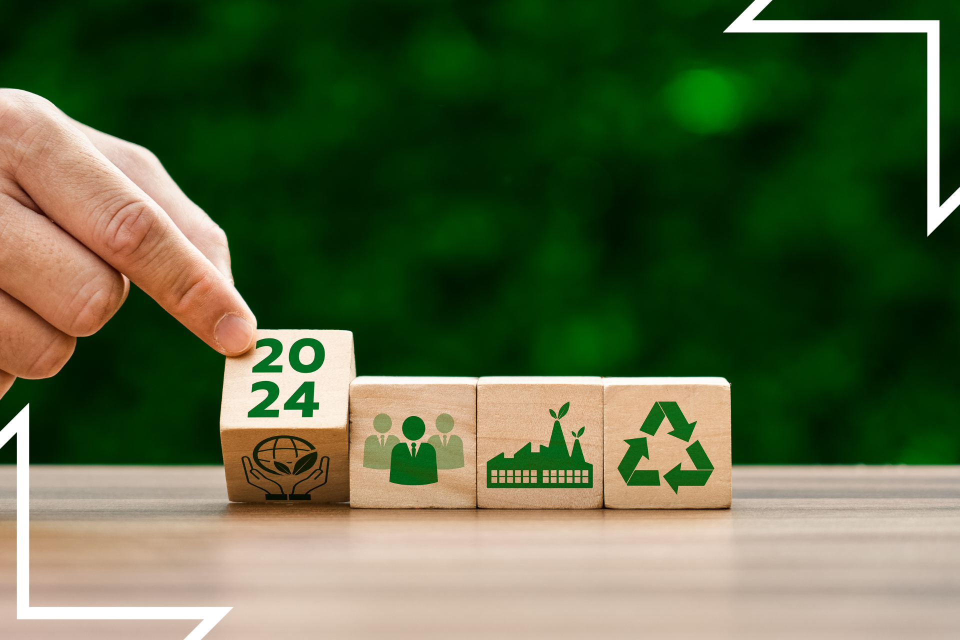 1 Sustainability Manager